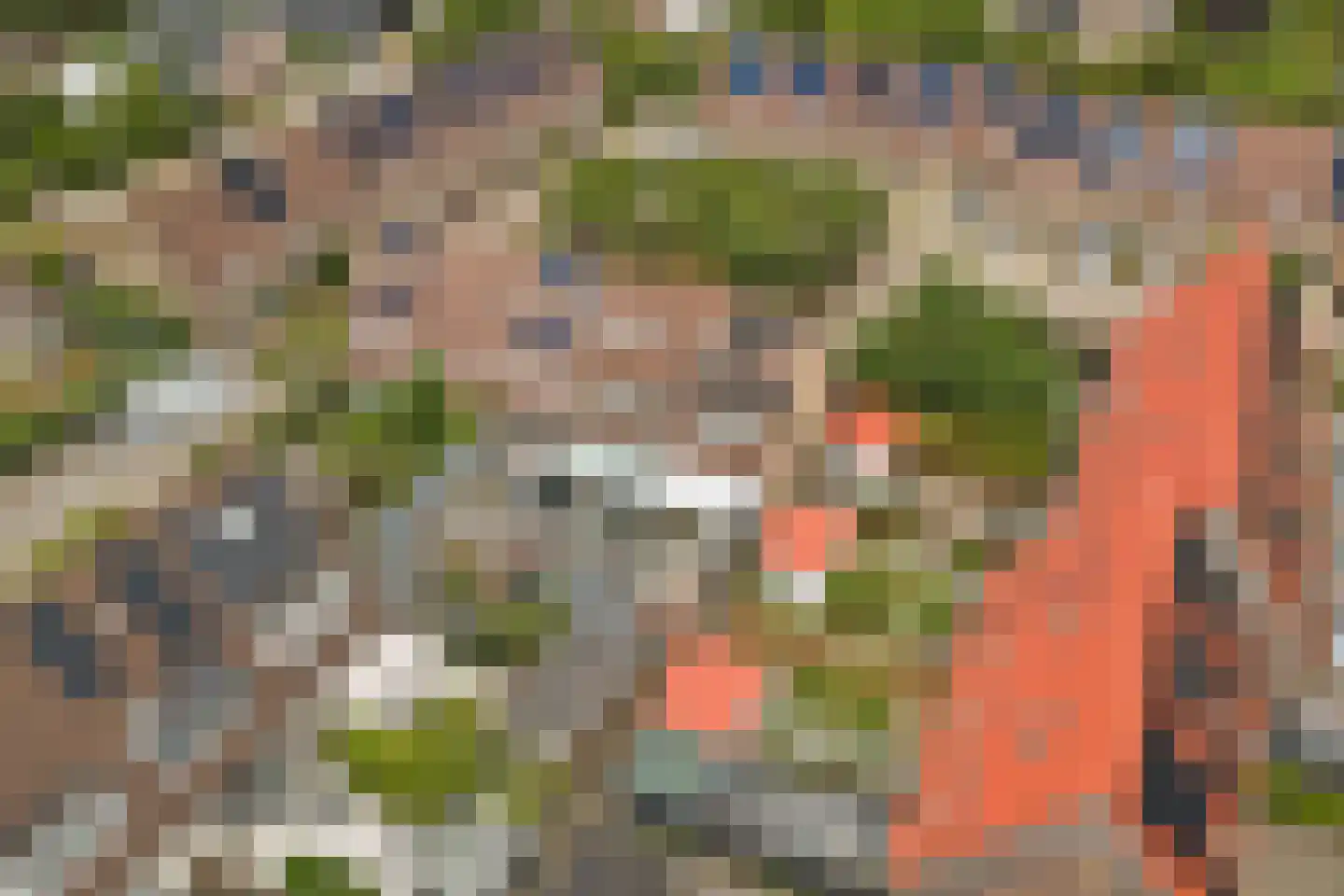 Troubadour 1 Rhoon thumbnail 53