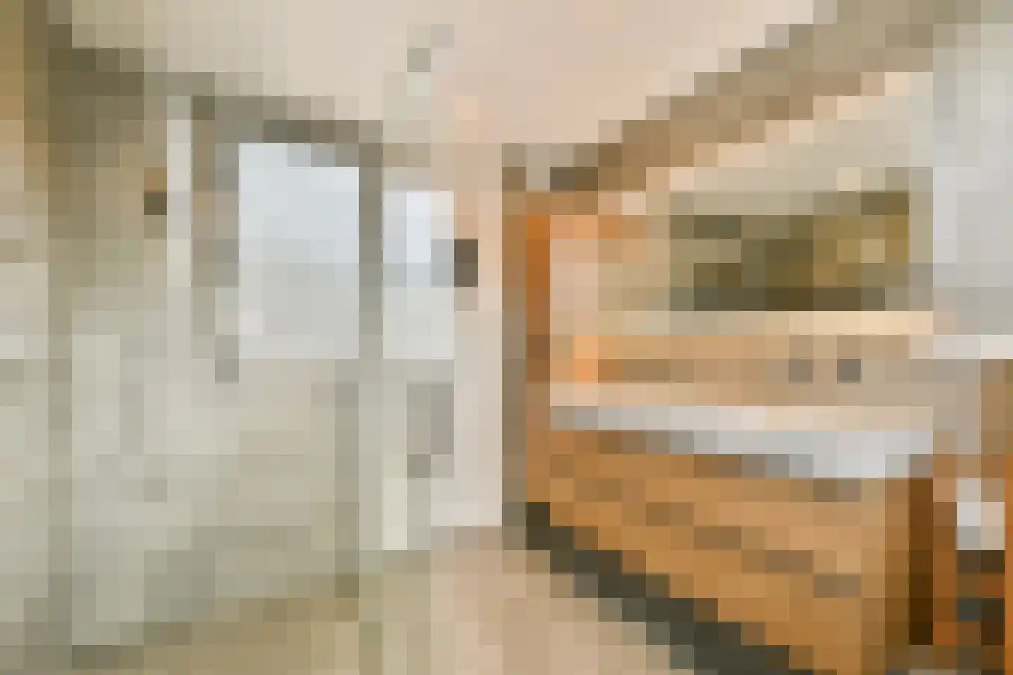 Troubadour 10 Amstelveen thumbnail 24