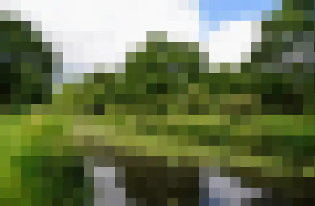 Troubadour 10 Amstelveen thumbnail 32