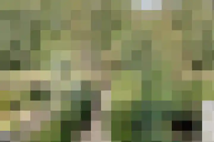 Troubadour 106 Amstelveen thumbnail 20