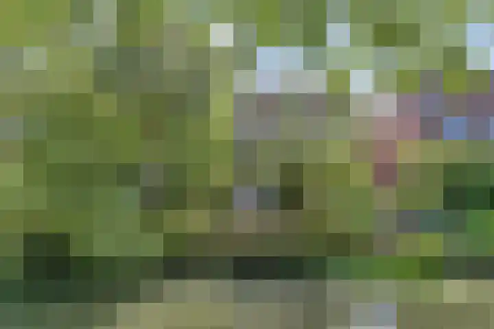 Troubadour 106 Amstelveen thumbnail 23