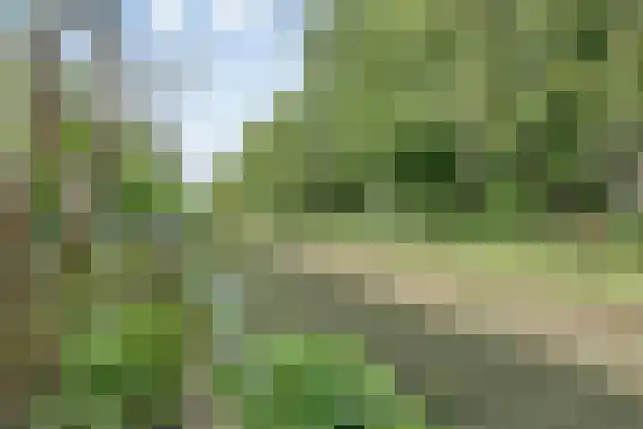 Troubadour 106 Amstelveen thumbnail 25
