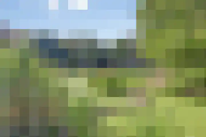 Troubadour 106 Amstelveen thumbnail 26