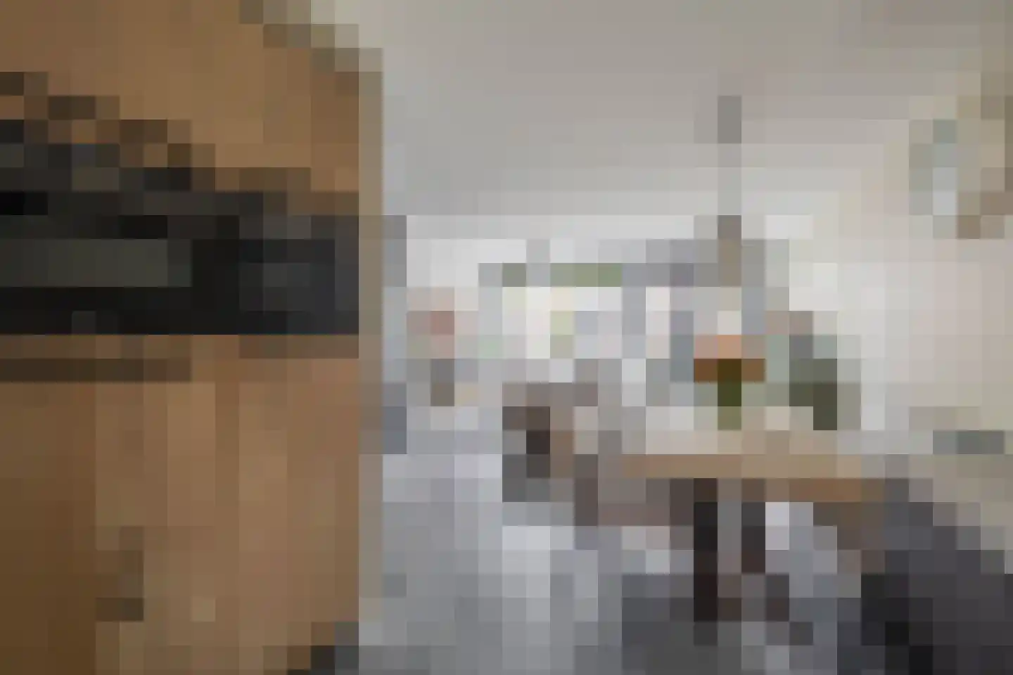 Troubadour 3 Oostvoorne thumbnail 21