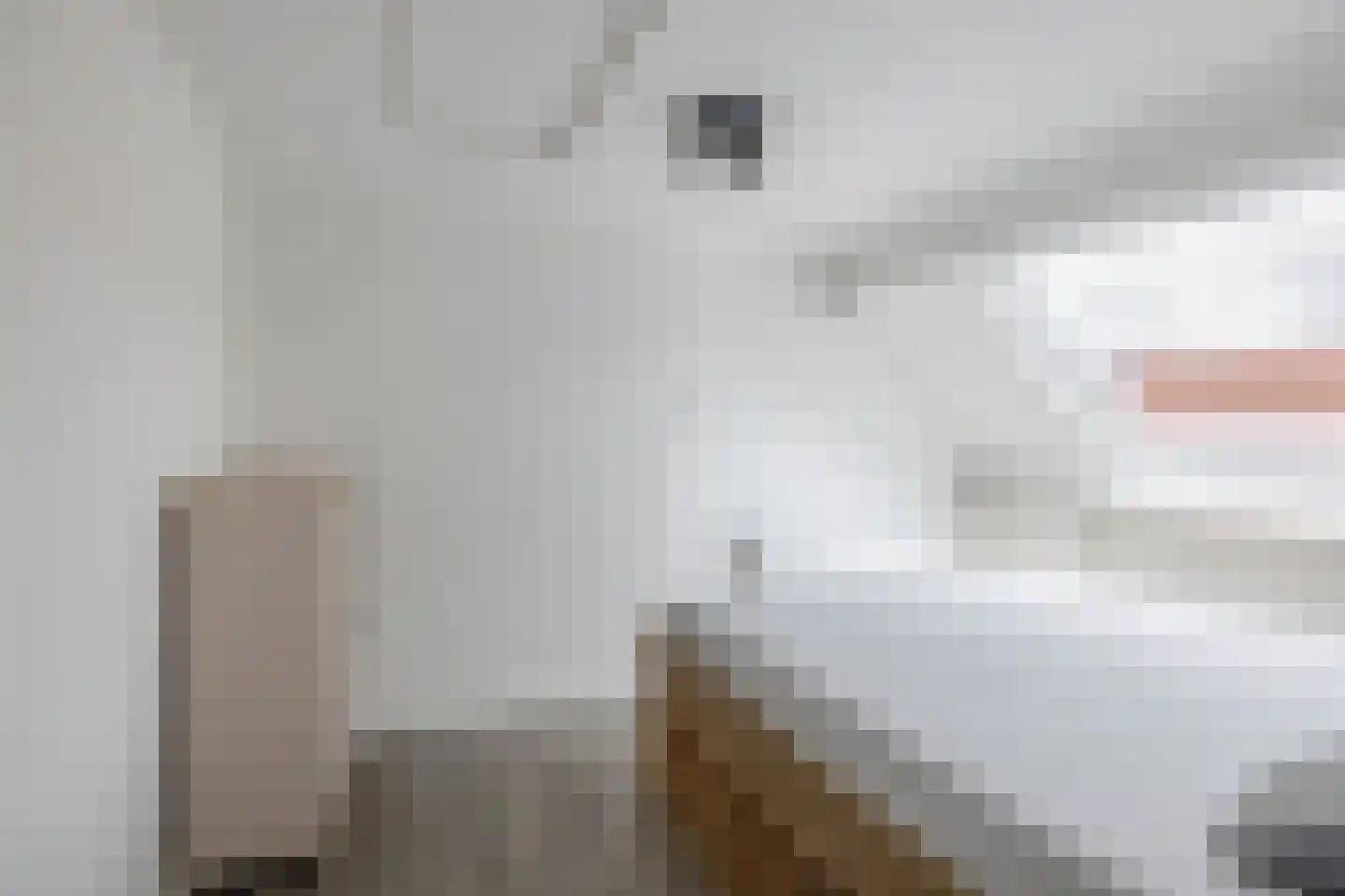 Troubadour 3 Oostvoorne thumbnail 37