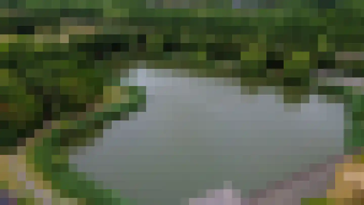 Troubadour 3 Oostvoorne thumbnail 50