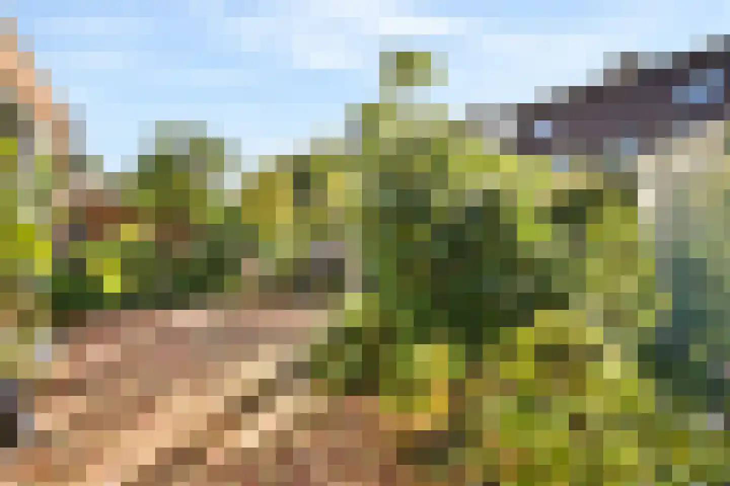 Troubadour 6 Amstelveen thumbnail 13