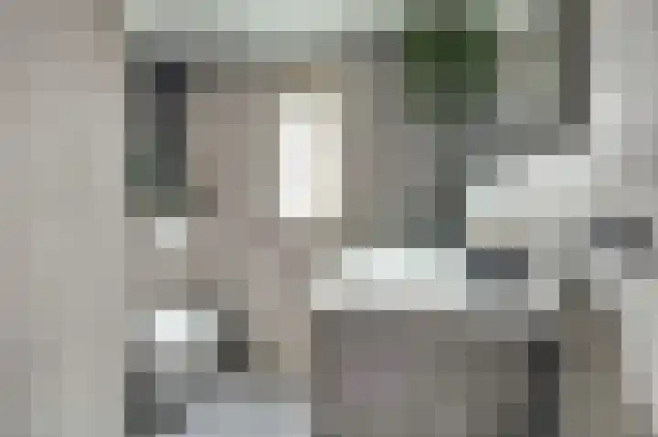 Troubadour 6 Oostvoorne thumbnail 18