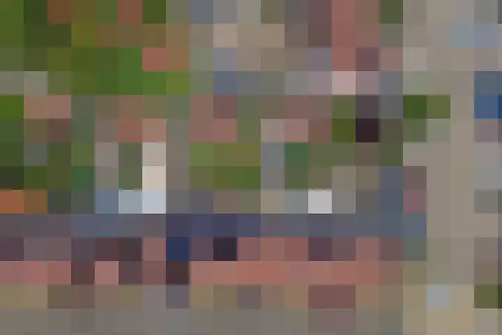 Troubadour 6 Oostvoorne thumbnail 28
