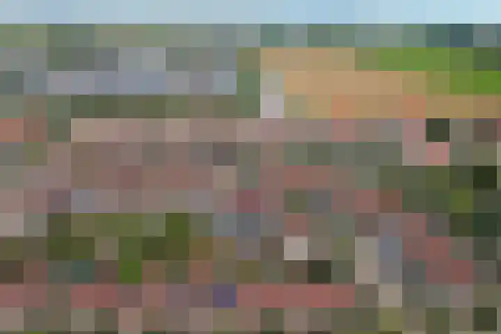 Troubadour 6 Oostvoorne thumbnail 30