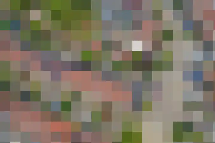 Troubadour 6 Oostvoorne thumbnail 31