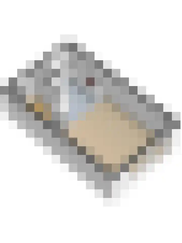 Troubadour 6 Oostvoorne thumbnail 36