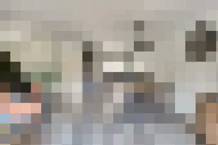 Troubadour 6 Oostvoorne thumbnail 7