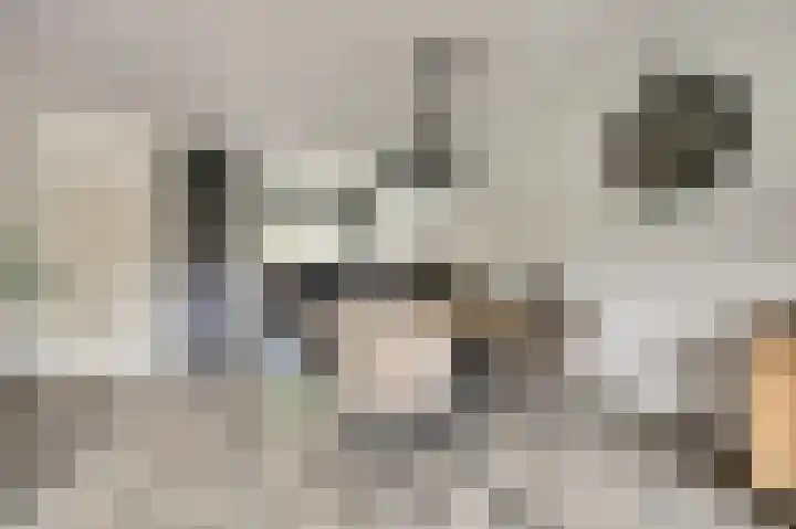 Troubadour 6 Oostvoorne thumbnail 8