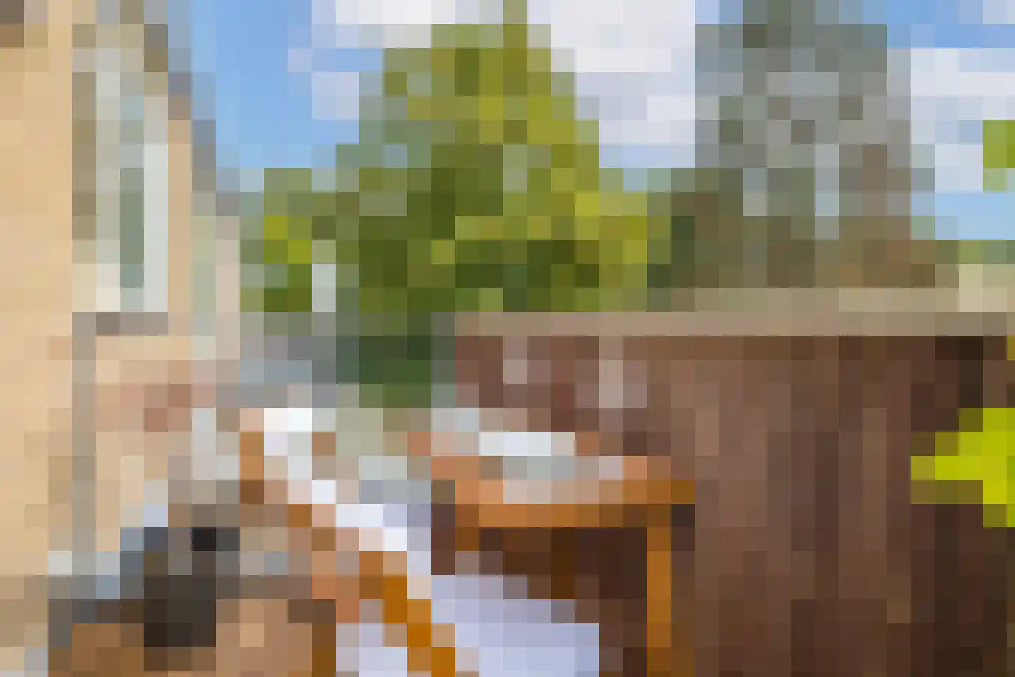 Troubadourhof 4 Utrecht thumbnail 11