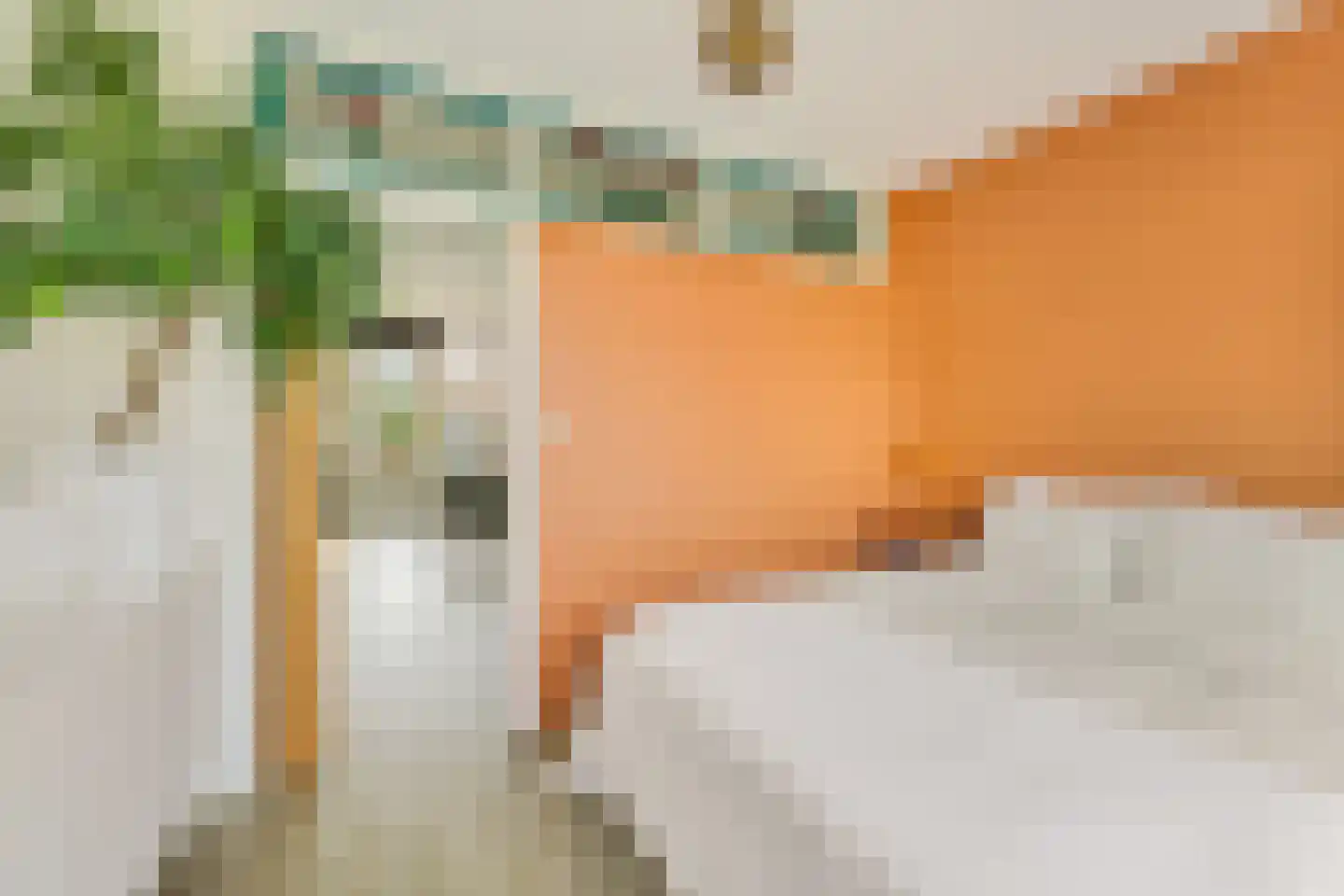 Troubadourhof 4 Utrecht thumbnail 19