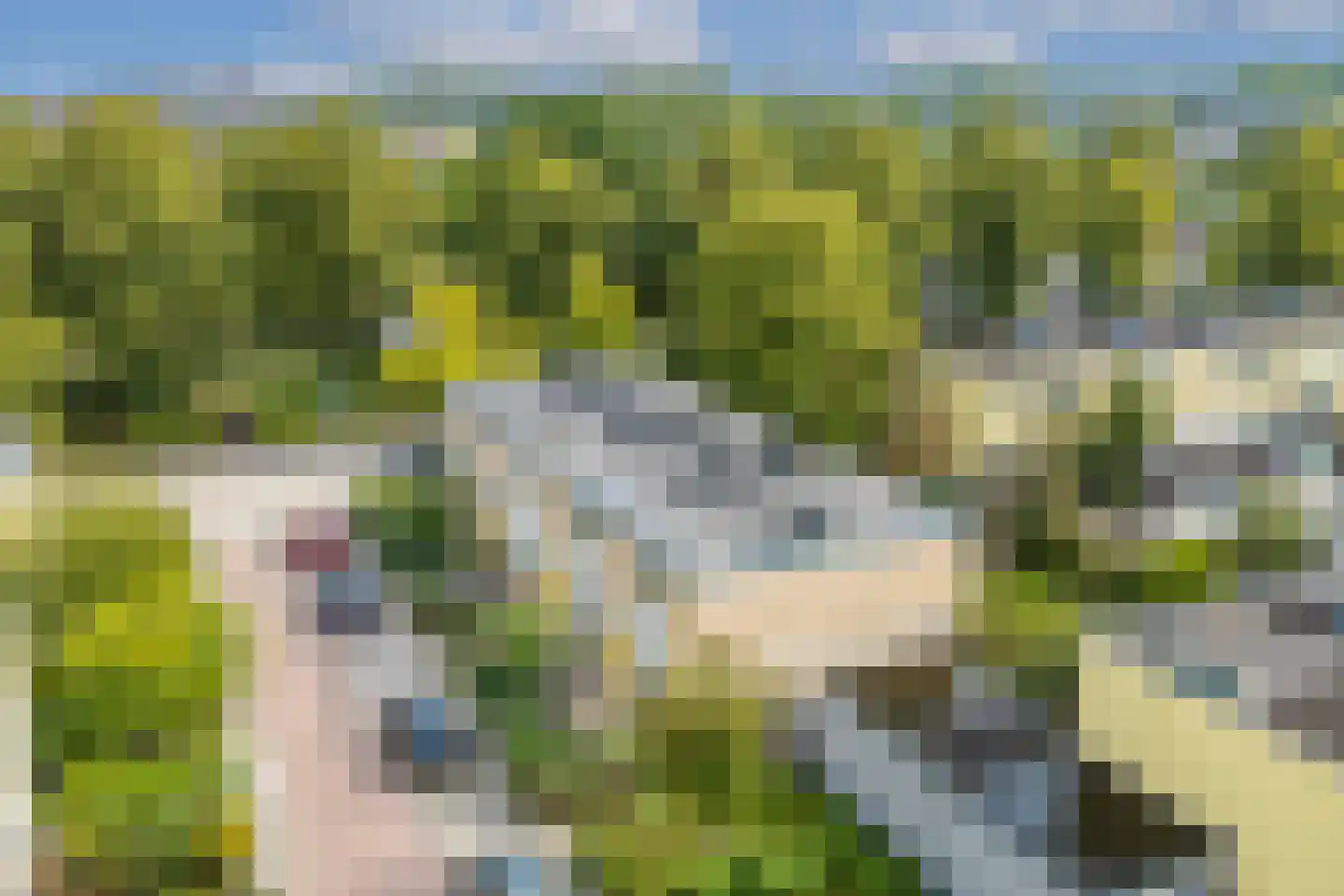 Troubadourhof 4 Utrecht thumbnail 26