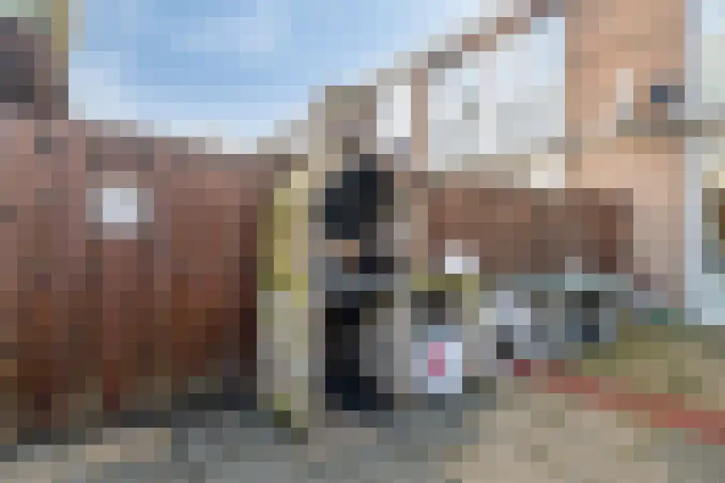 Troubadourlaan 34 Hoogvliet Rotterdam thumbnail 14
