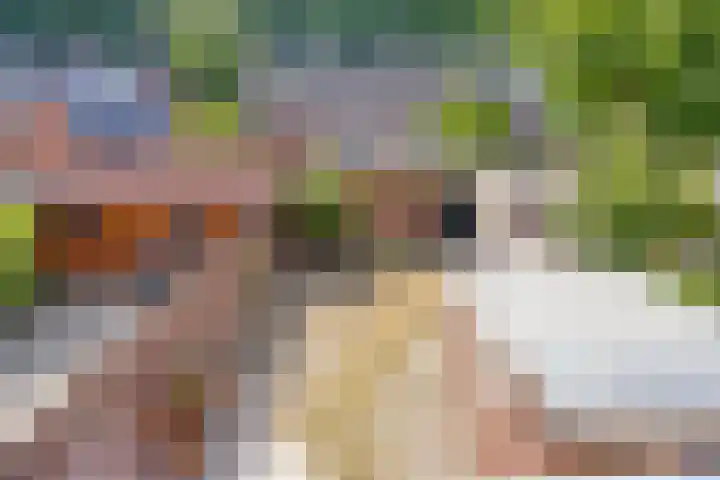 Troubadourplein 18 Tilburg thumbnail 22