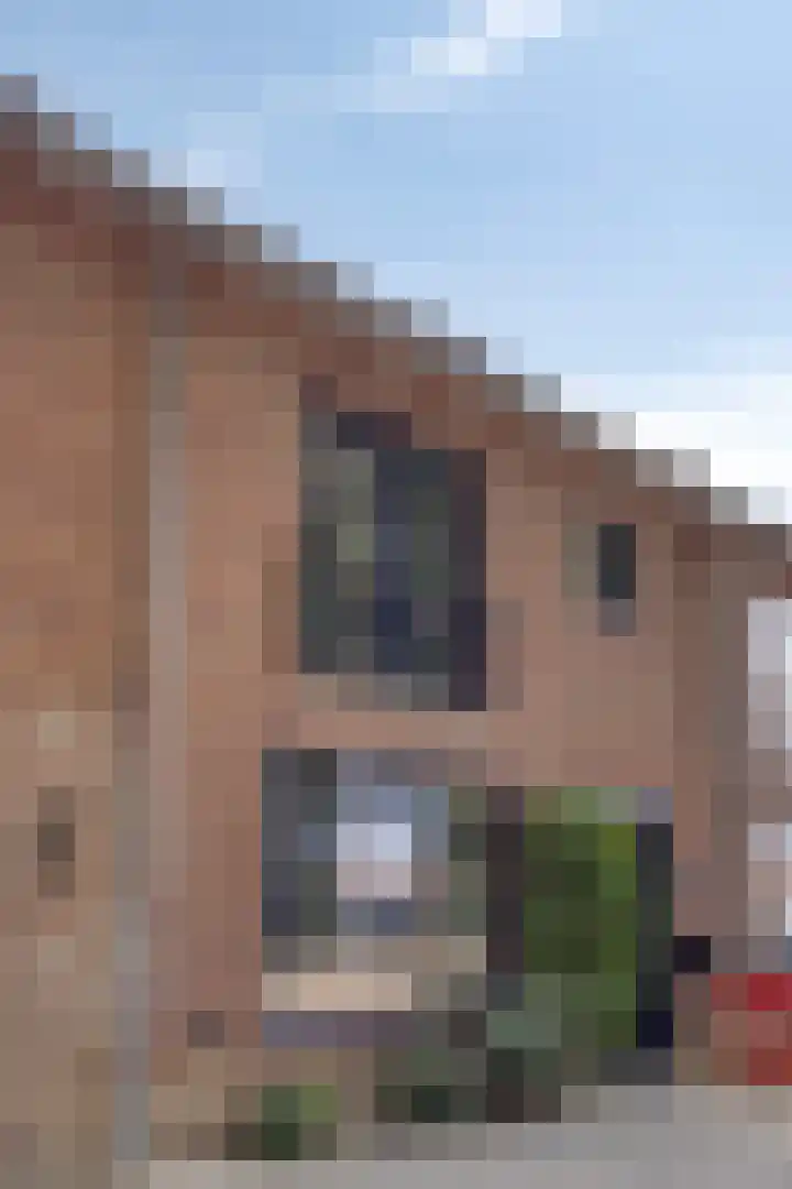 Troubadourplein 18 Tilburg thumbnail 41