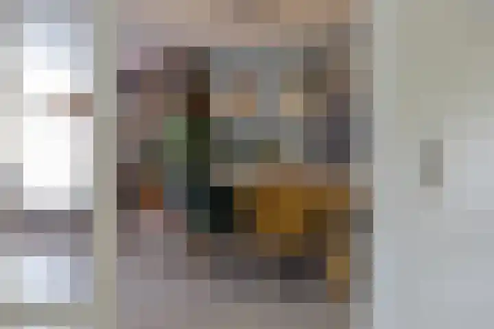 Troubadoursborch 61 Houten thumbnail 10