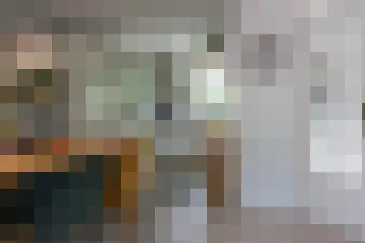 Troubadoursborch 61 Houten thumbnail 11