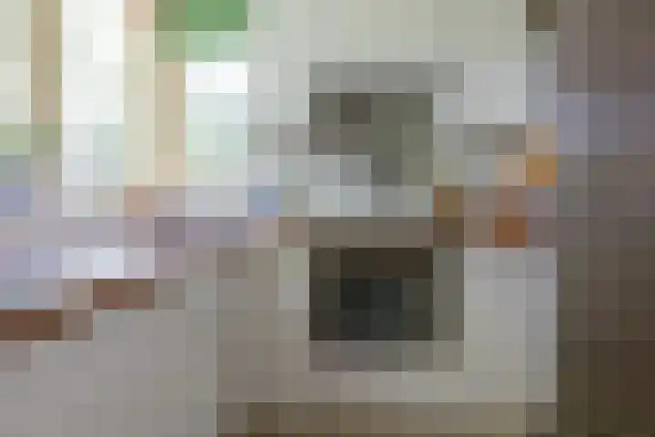 Troubadoursborch 61 Houten thumbnail 14