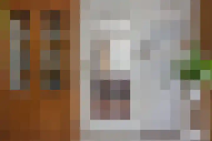 Troubadoursborch 61 Houten thumbnail 15