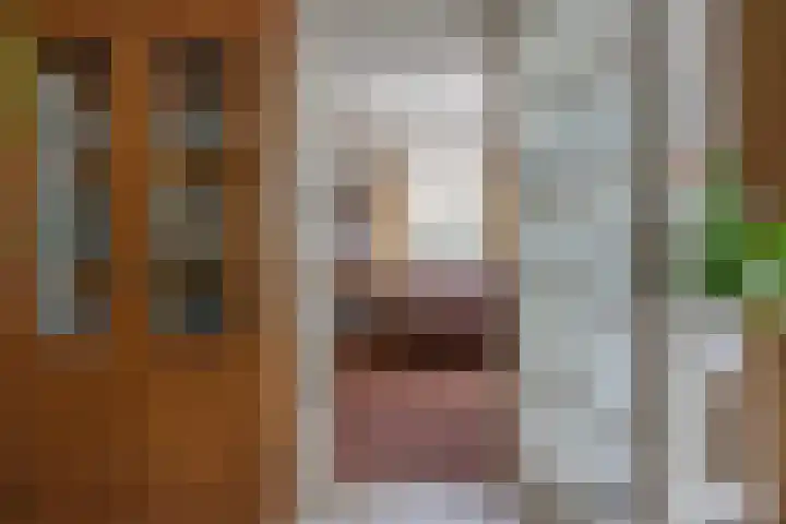 Troubadoursborch 61 Houten thumbnail 16