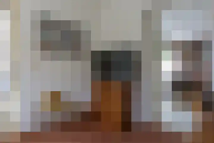 Troubadoursborch 61 Houten thumbnail 19