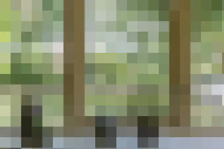 Troubadoursborch 61 Houten thumbnail 21