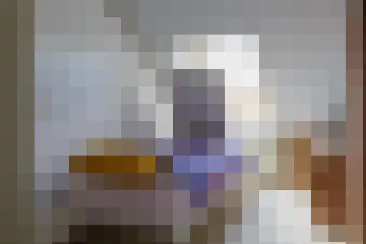 Troubadoursborch 61 Houten thumbnail 28