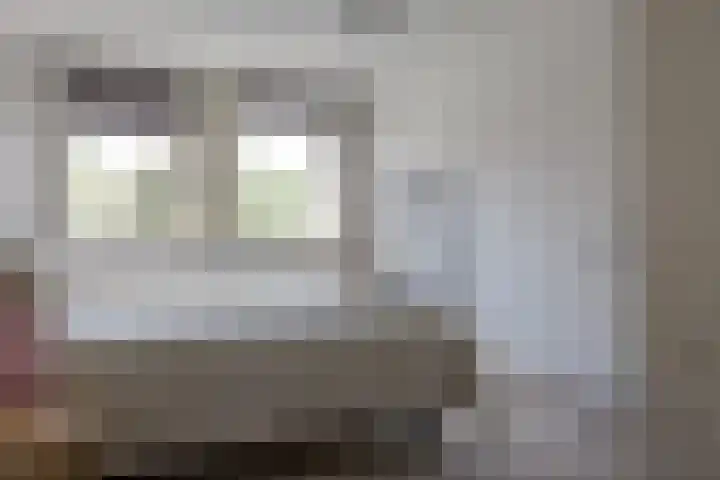 Troubadoursborch 61 Houten thumbnail 31