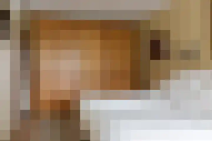 Troubadoursborch 61 Houten thumbnail 35