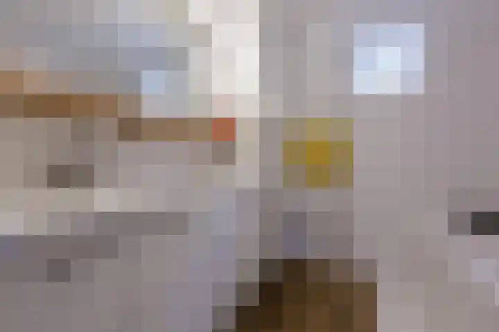 Troubadoursborch 61 Houten thumbnail 38