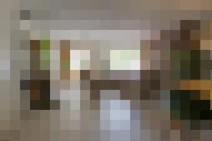 Troubadoursborch 61 Houten thumbnail 4