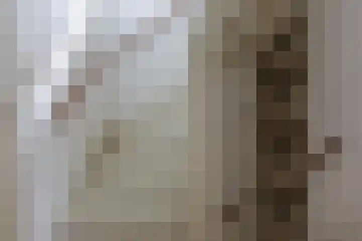 Troubadoursborch 61 Houten thumbnail 42