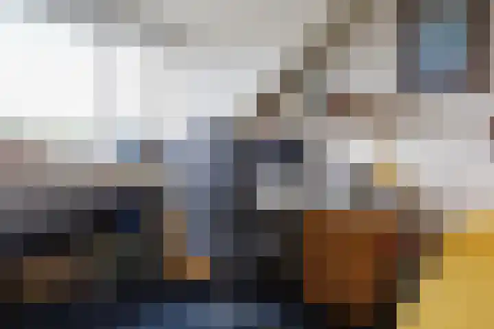 Troubadoursborch 61 Houten thumbnail 46