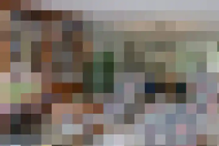 Troubadoursborch 61 Houten thumbnail 5