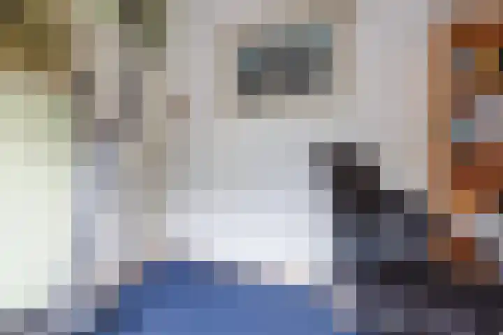 Troubadoursborch 61 Houten thumbnail 50