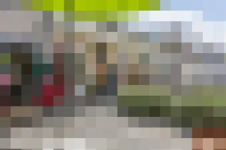 Troubadoursborch 61 Houten thumbnail 51