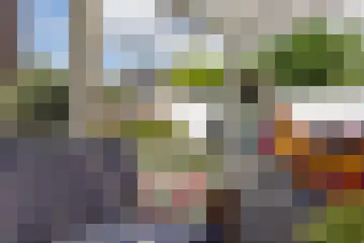Troubadoursborch 61 Houten thumbnail 53