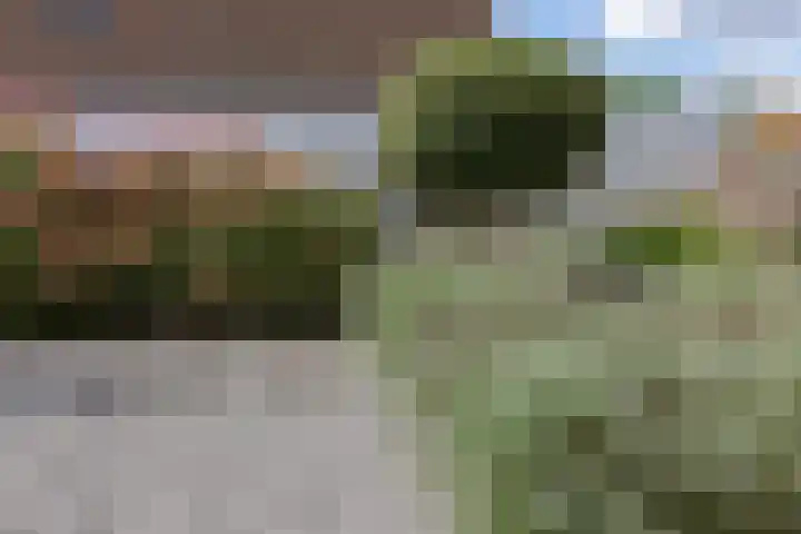 Troubadoursborch 61 Houten thumbnail 57