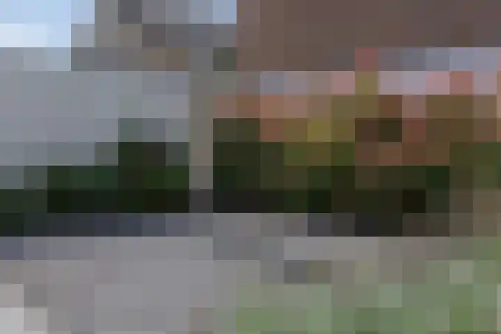 Troubadoursborch 61 Houten thumbnail 58