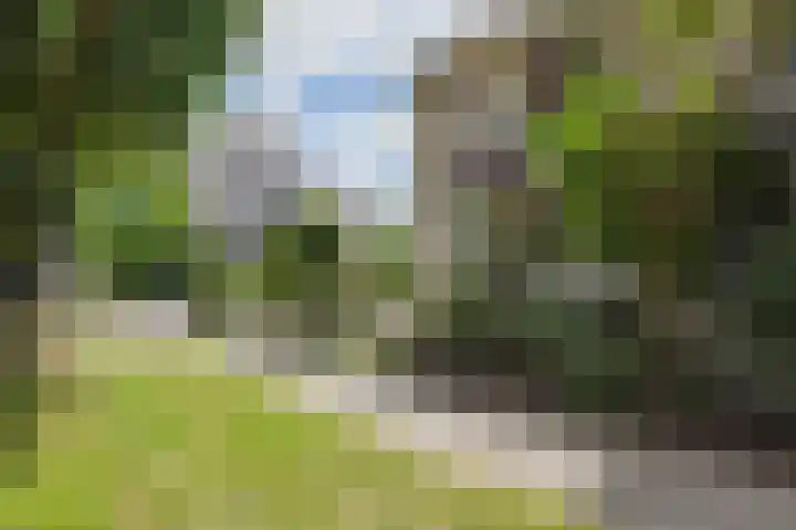 Troubadoursborch 61 Houten thumbnail 64