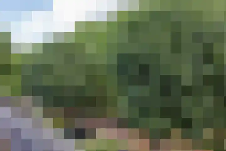 Troubadoursborch 61 Houten thumbnail 66