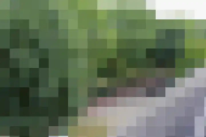 Troubadoursborch 61 Houten thumbnail 67