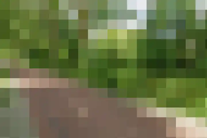 Troubadoursborch 61 Houten thumbnail 68