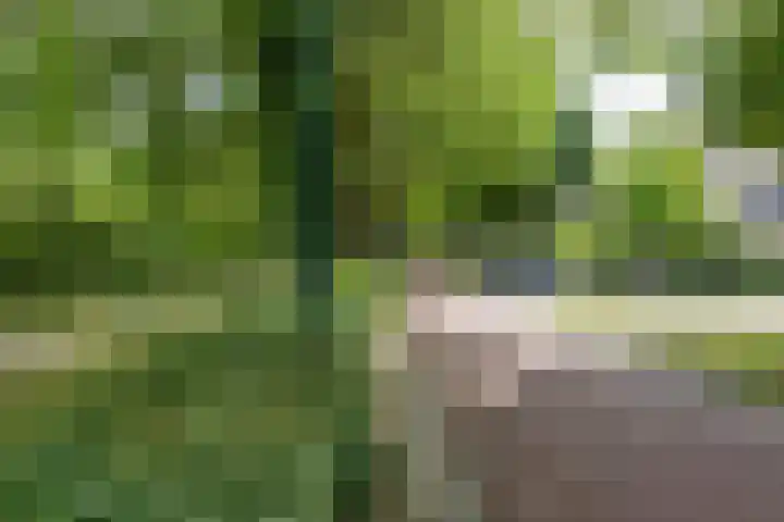 Troubadoursborch 61 Houten thumbnail 69