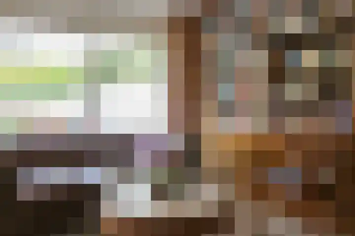Troubadoursborch 61 Houten thumbnail 7